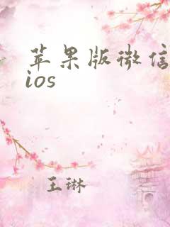 苹果版微信分身ios