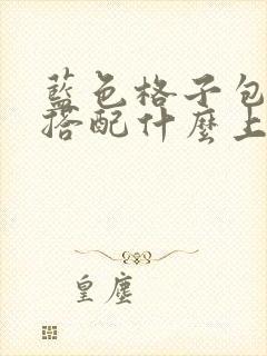 蓝色格子包臀裙搭配什么上衣