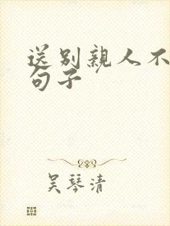 送别亲人不舍的句子