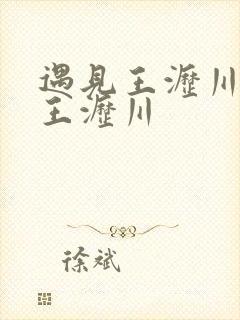 遇见王沥川再见王沥川