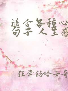 适合各种心情的句子 人生感悟