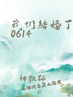 我们结婚了130614