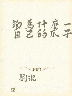 狗为什么一直舔自己的爪子