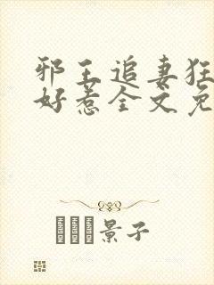 邪王追妻狂妃不好惹全文免费阅读