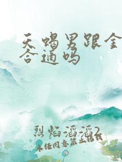 天蝎男跟金牛女合适吗