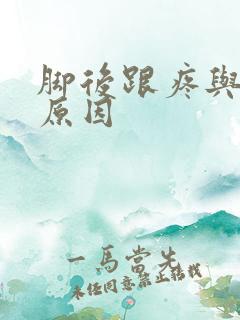 脚后跟疼与痛风原因