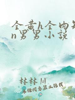 全黄h全肉短篇n男男小说