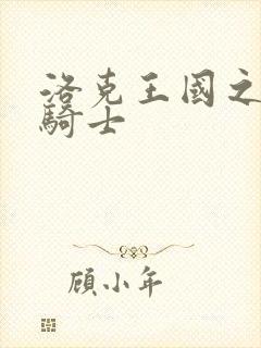 洛克王国之圣龙骑士