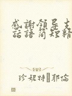 感谢领导支持的话语简短精辟