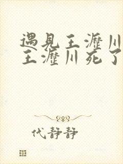 遇见王沥川最后王沥川死了