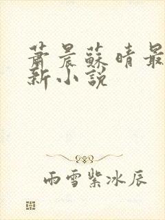 萧晨苏晴最新更新小说