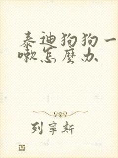 泰迪狗狗一直咳嗽怎么办