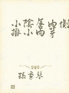 小阴唇内侧长2排小肉芽