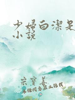少妇白洁是哪部小说