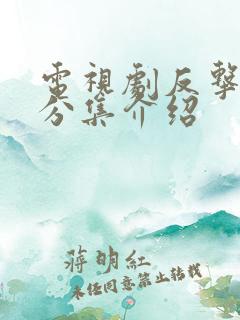 电视剧反击剧情分集介绍