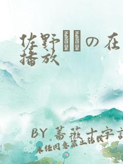 佐野ゆきの在线播放