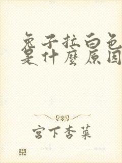 兔子拉白色尿液是什么原因