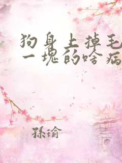 狗身上掉毛一块一块的啥病