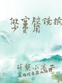 做宫腔镜检查多少费用