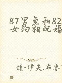 87男兔和82女狗相配婚姻如何