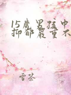 15岁男孩中度抑郁严重不