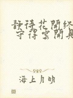 静待花开终有时 守得云开见月明