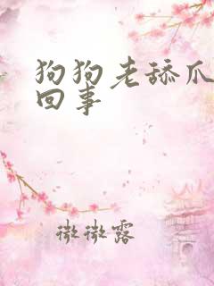 狗狗老舔爪子咋回事