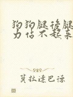 狗狗腿后腿瘸无力站不起来怎么办