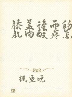 膝盖后面的腿窝肌肉酸疼怎么回事