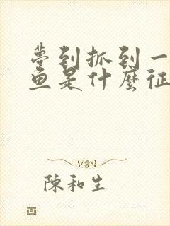 梦到抓到一条大鱼是什么征兆