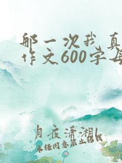 那一次我真感动作文600字母爱