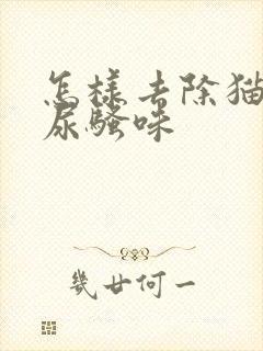 怎样去除猫咪的尿骚味