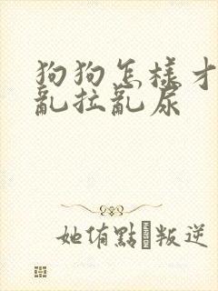 狗狗怎样才能不乱拉乱尿