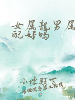 女属龙男属虎婚配好吗