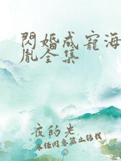 闪婚成宠海彤战胤全集