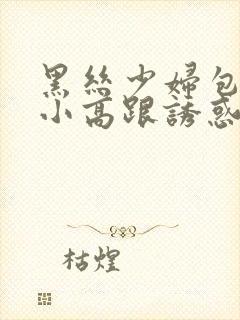 黑丝少妇包臀裙小高跟诱惑