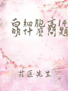 白细胞高14说明什么问题