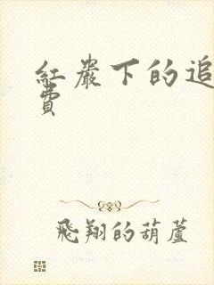 红岩下的追捕免费