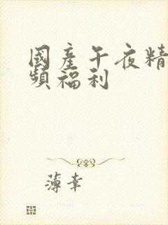 国产午夜精品视频福利