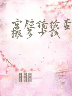 宫腔镜检查费大概多少钱