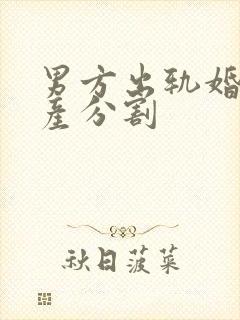 男方出轨婚姻财产分割