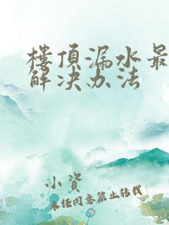 楼顶漏水最好的解决办法