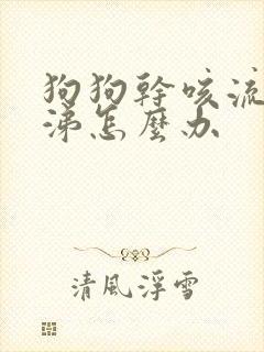 狗狗干咳流黄鼻涕怎么办