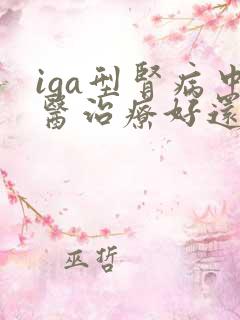 iga型肾病中医治疗好还是西医治疗好