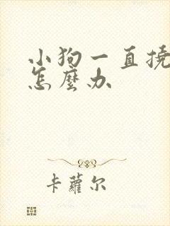 小狗一直挠身上怎么办