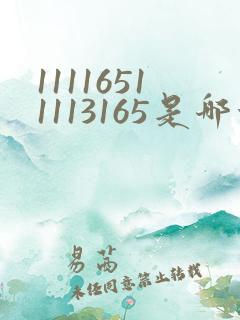 11116511113165是哪首歌的简谱