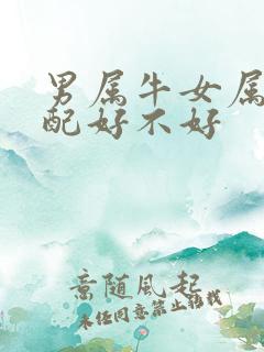 男属牛女属虎婚配好不好