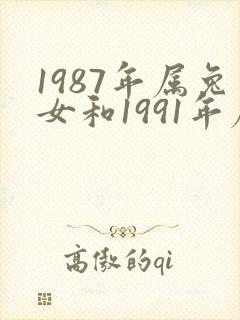 1987年属兔女和1991年属羊男婚配