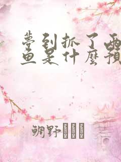 梦到抓了两条大鱼是什么预兆