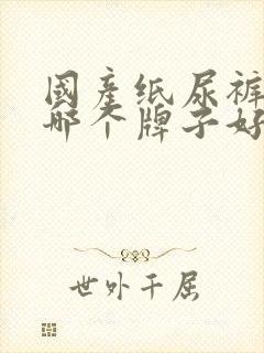 国产纸尿裤婴儿哪个牌子好